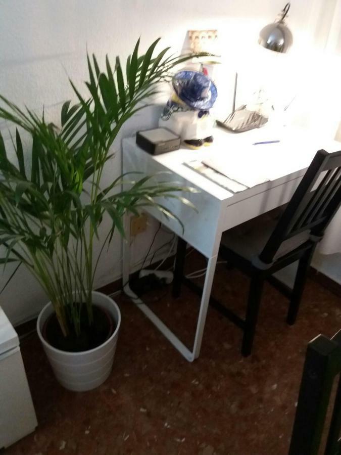 Apartment La Gallega Κόρδοβα Εξωτερικό φωτογραφία